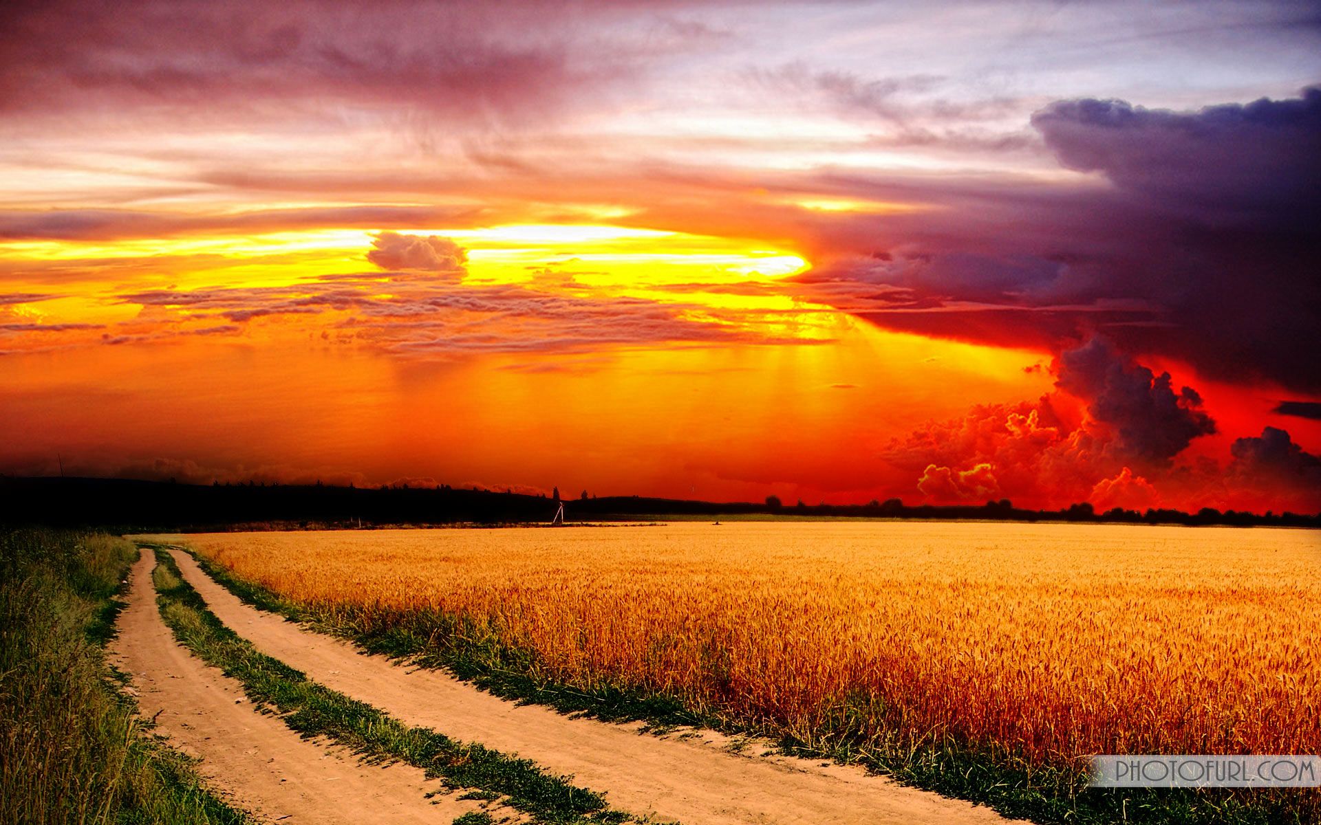 Beautiful Sunset View HD Wallpaper
