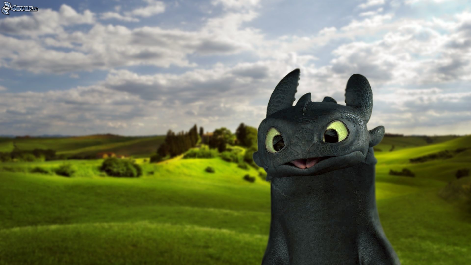 Toothless Dragon Wallpaper Cute
