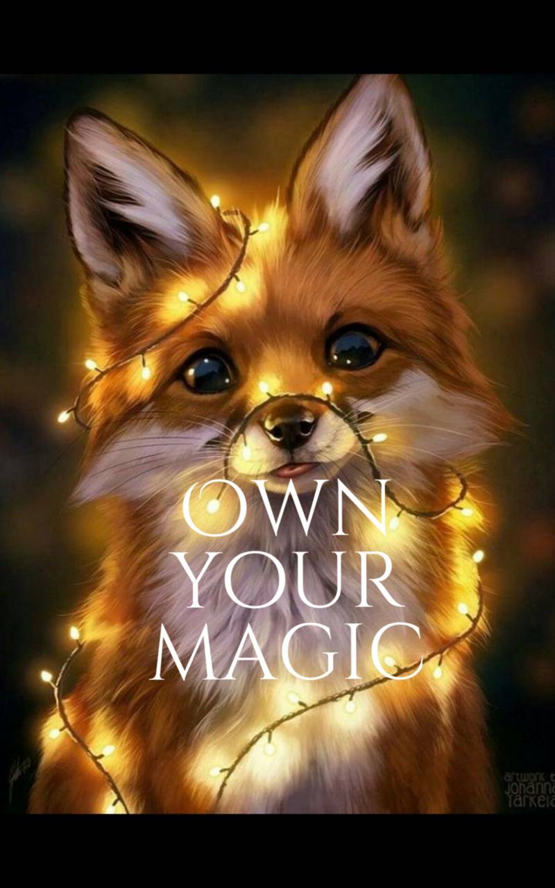 Own Your Magic Fox wallpaper