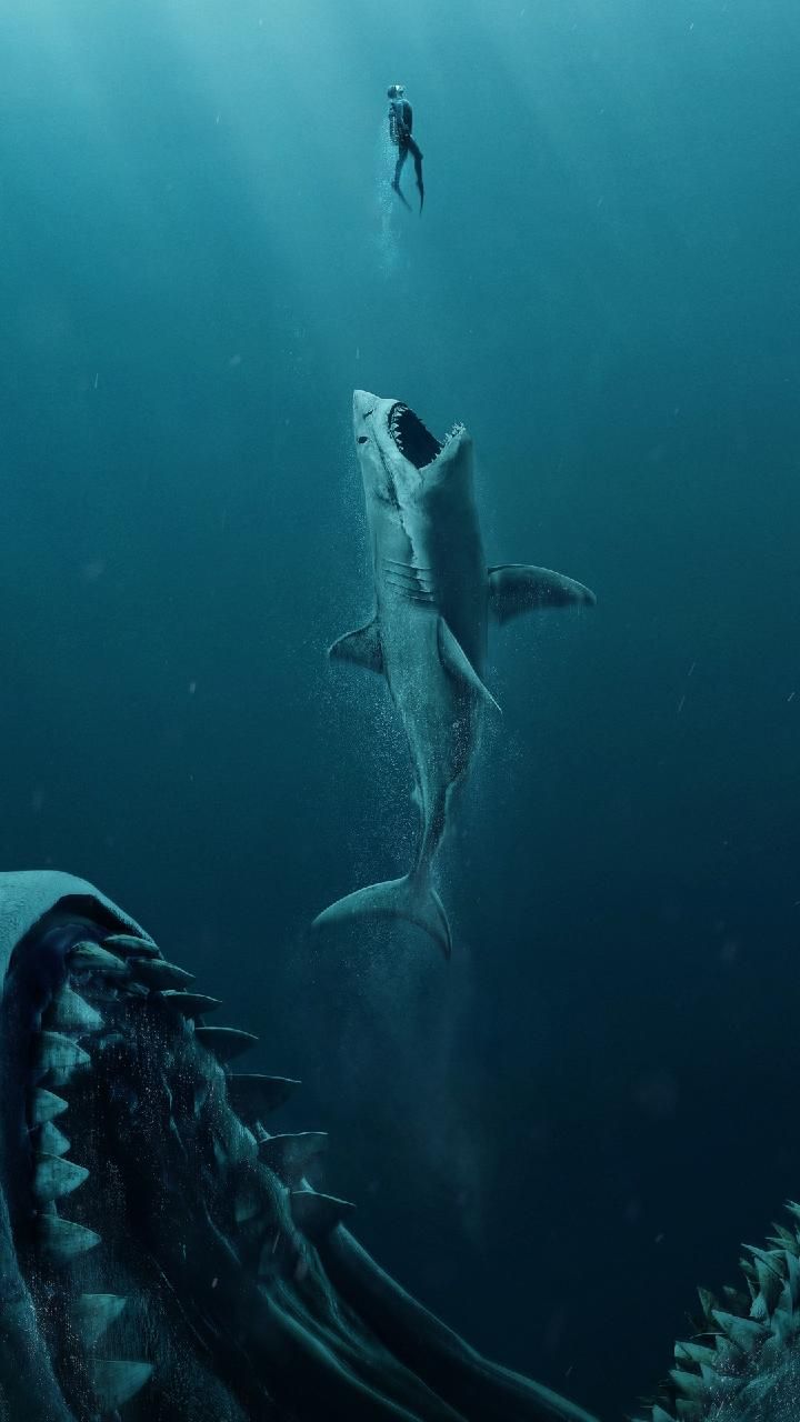 Download The Meg 2018 4K Wallpaper by pramucc now. Browse millions of popular creatures. Scary ocean, Sea creatures drawing, Ocean wallpaper