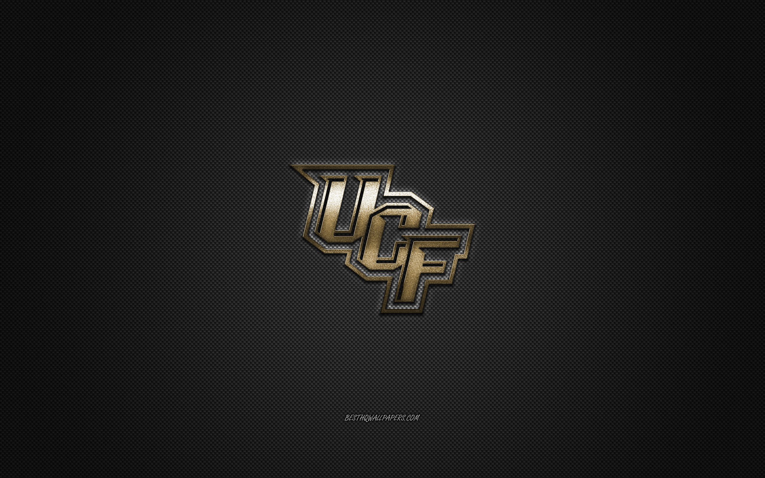 Download wallpaper UCF Knights logo, American football club, NCAA, golden logo, gray carbon fiber background, hockey, Orlando, Florida, USA, UCF Knights for desktop with resolution 2560x1600. High Quality HD picture wallpaper