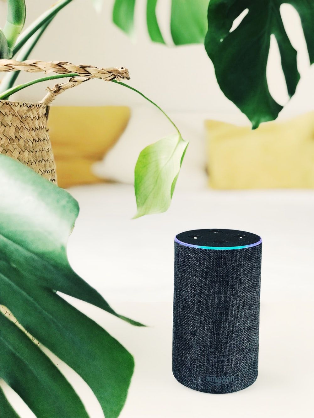 HQ Amazon Echo Picture. Download Free Image