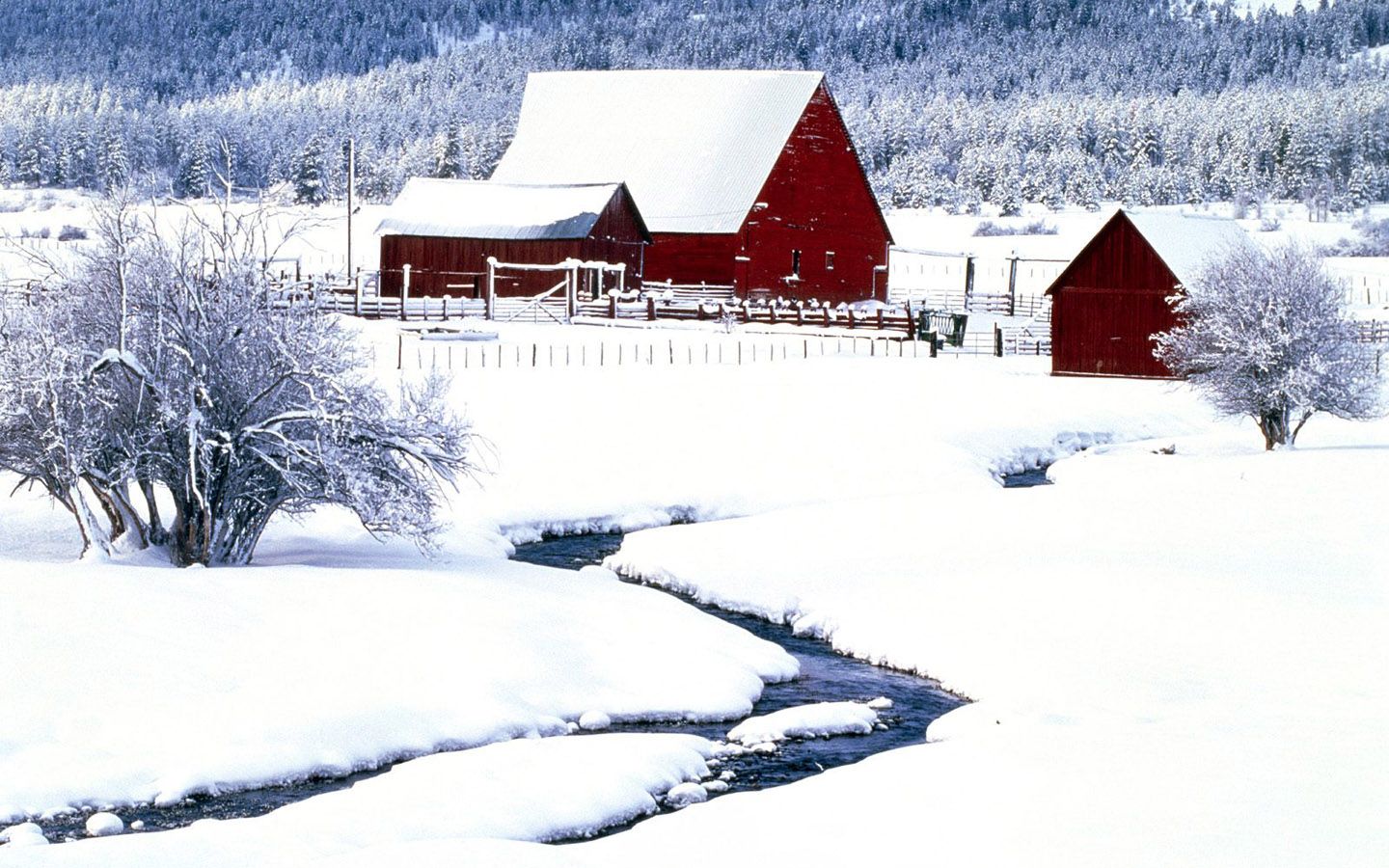 Winter Wonderland Barn In Snow