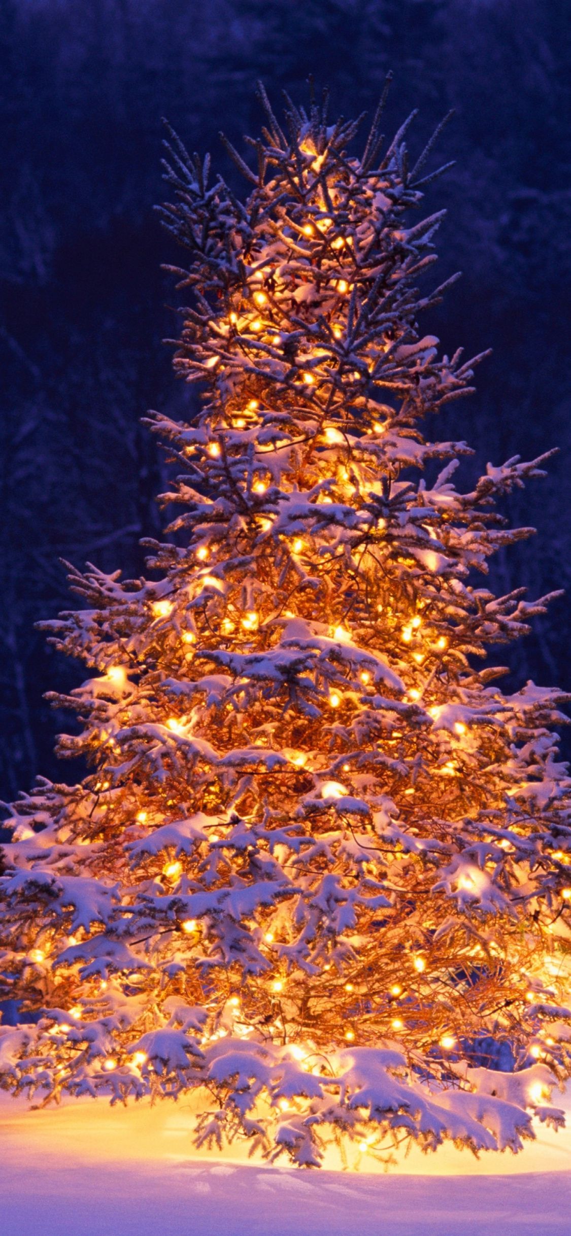 Christmas Tree, Chairs, Winter, Christmas, Holiday, Winter Wonderland Scene