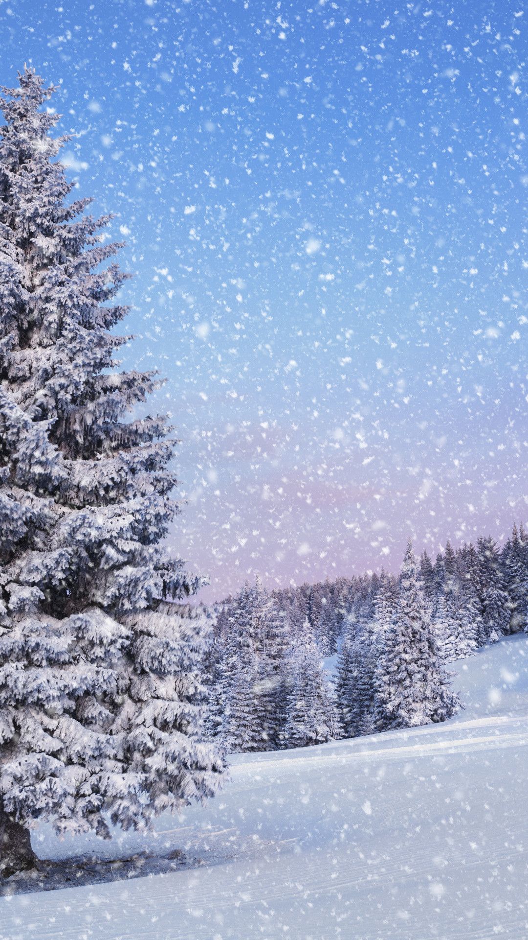 Winter Wonderland Wallpaper Vertical