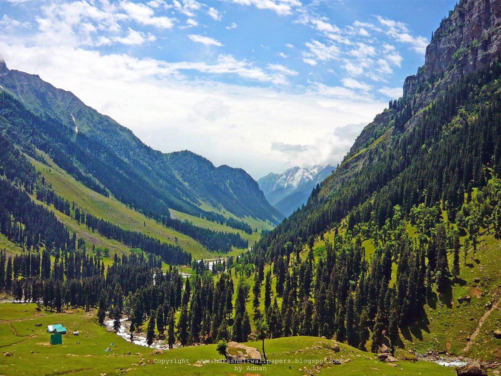 Valley of Lidderwat in Aru Pahalgam Kashmir. HD Kashmir Wallpaper