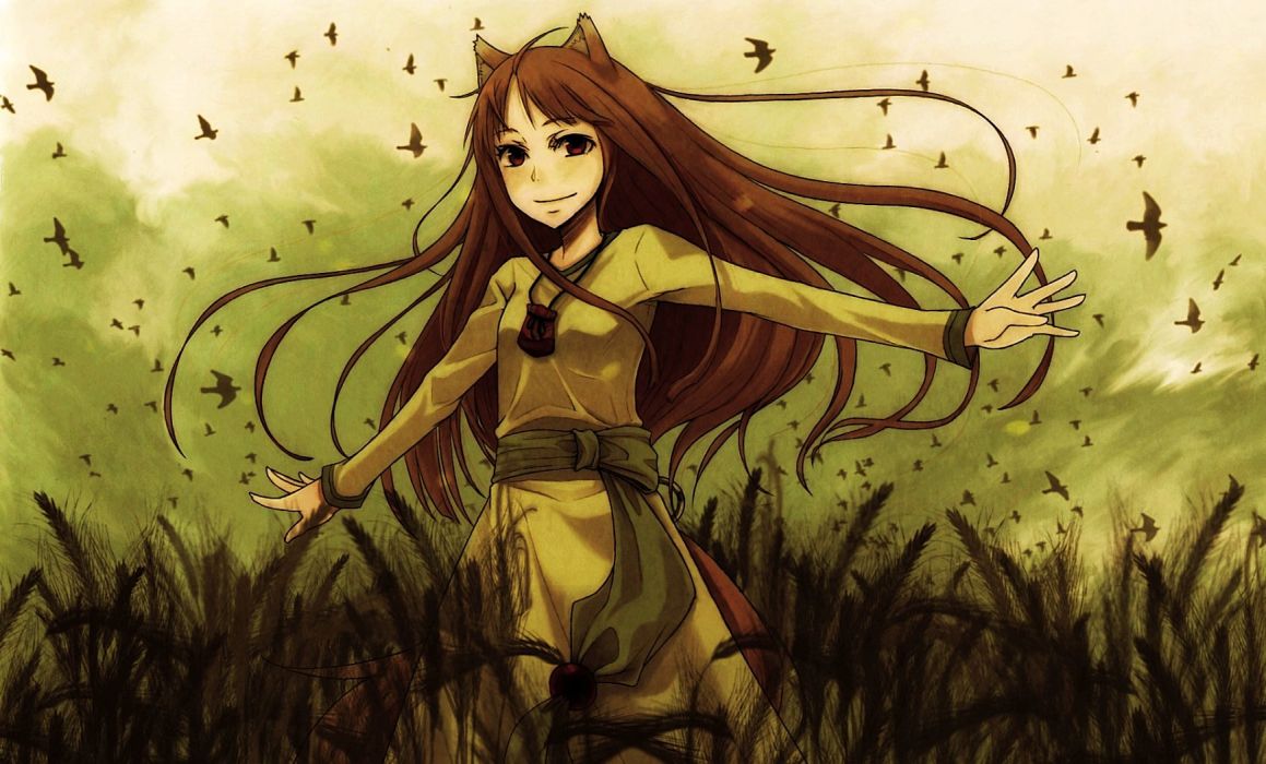 Spice and Wolf Holo The Wise Wolf wallpaperx1050