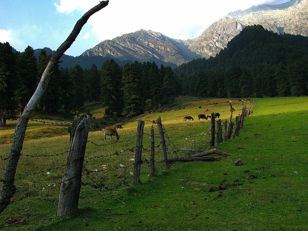 Aru valley. North india, Jammu and kashmir, Photo