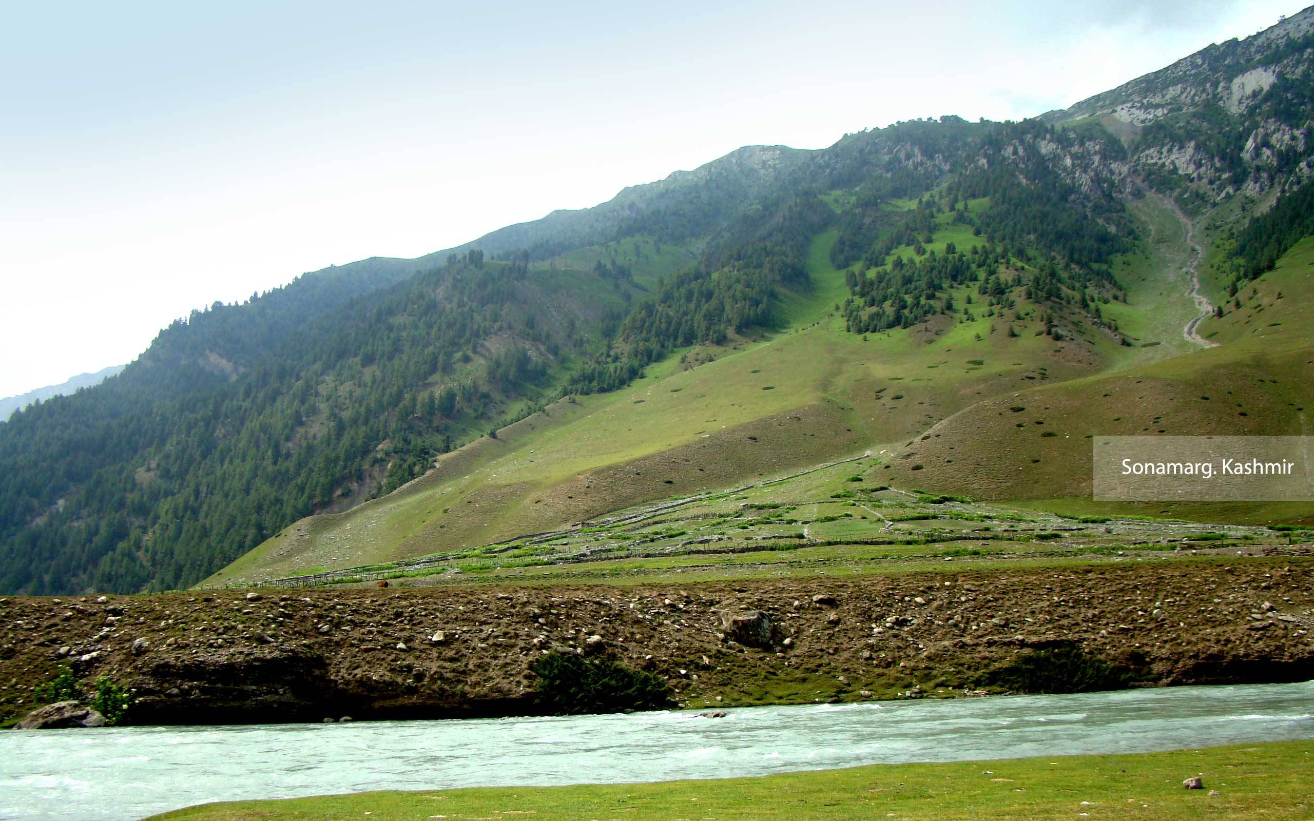Free Desktop Wallpaper Sonamarg
