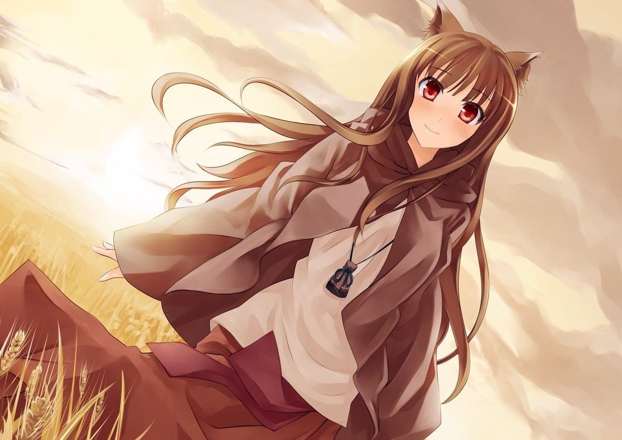 Holo, Spice And Wolf Wallpaper HD / Desktop and Mobile Background