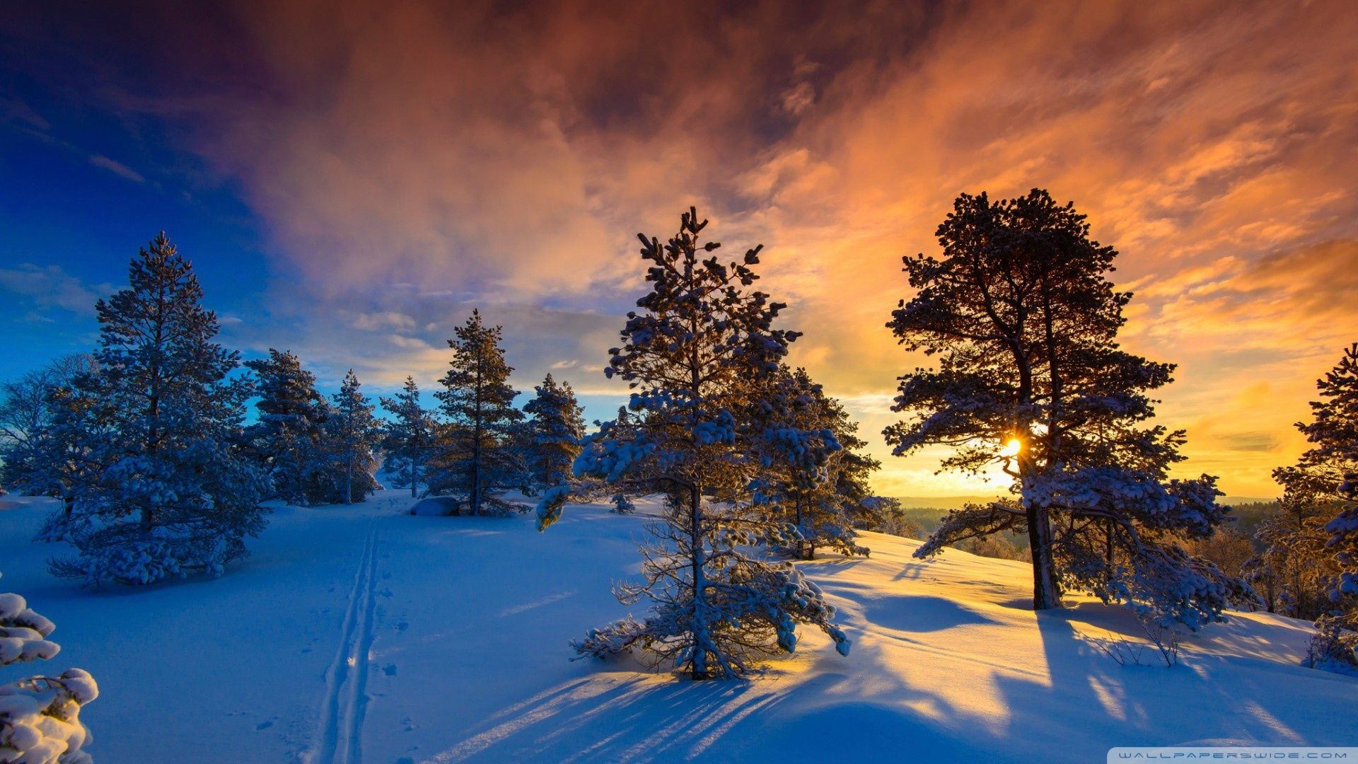 Winter 2021 Wallpapers - Wallpaper Cave