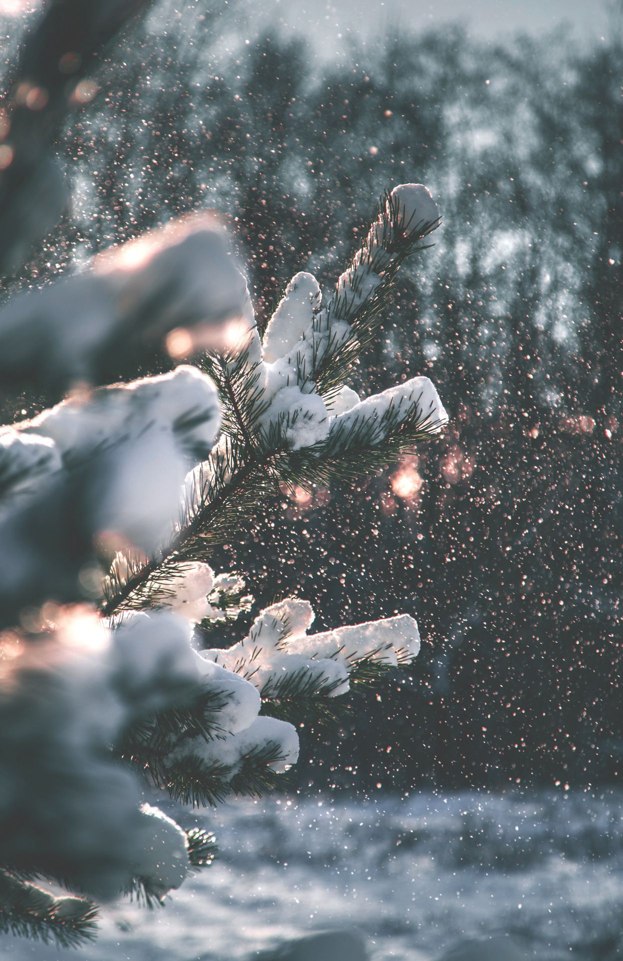 Baby, Its Cold Outside Winter Wallpaper & Background Download