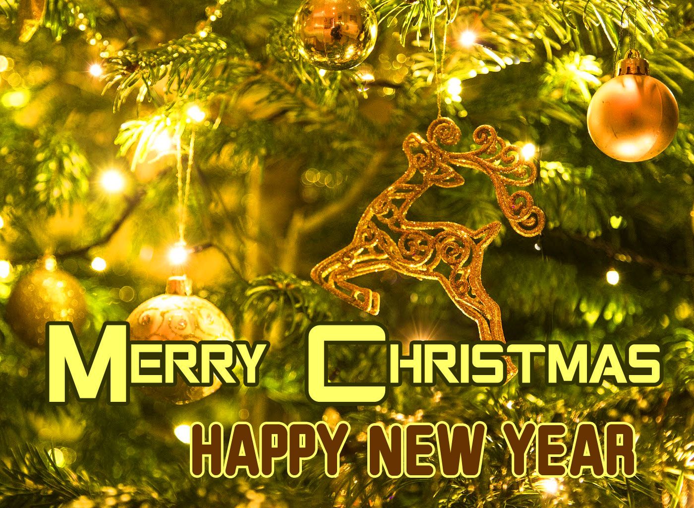Snowman Merry Christmas and Happy New Year Image Morning Image