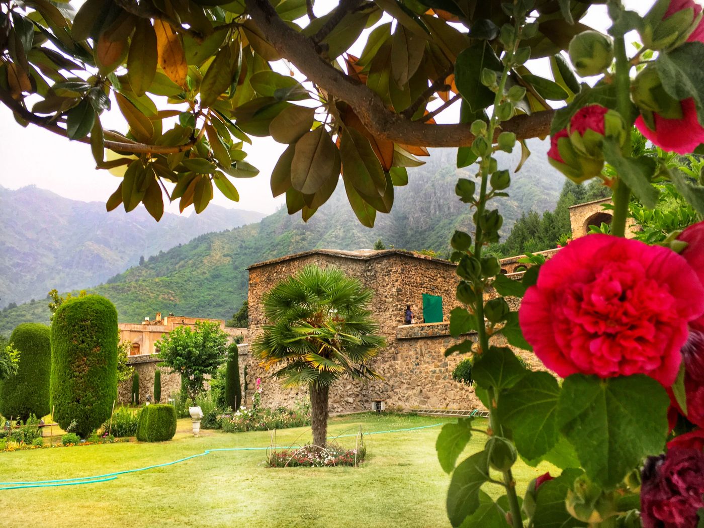 EXPLORE TOP SRINAGAR ATTRACTIONS in KASHMIR (India): Traditional Houseboats, Shikara Rides, Dal Lake, Pari Mahal, Chashma Shahi, Shalimar Bagh, Nishat Bagh, delicious food and so many MORE things to do!