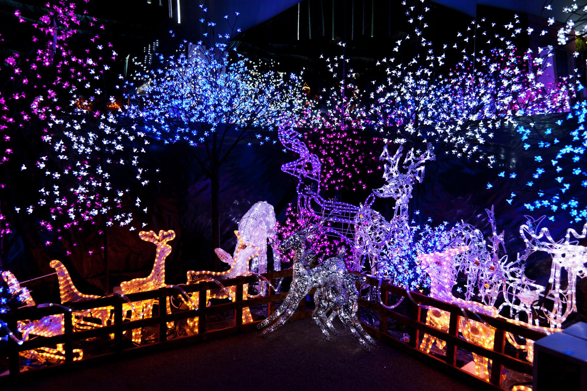 Best Outdoor Christmas Decorations, High Definition, High Quality, Widescreen