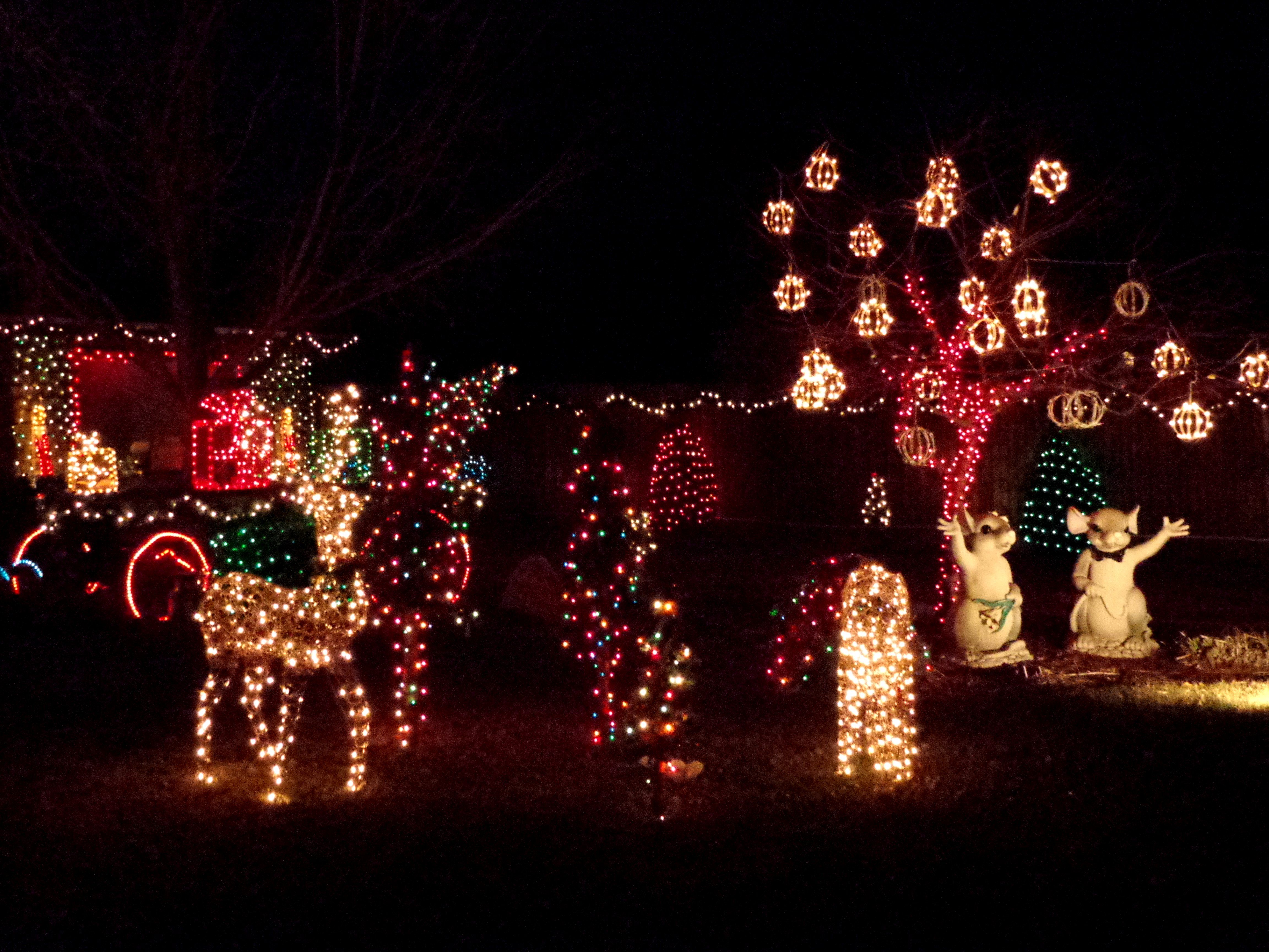 Holiday Lights Christmas Yard Decorations Picture. Free Photograph. Photo Public Domain