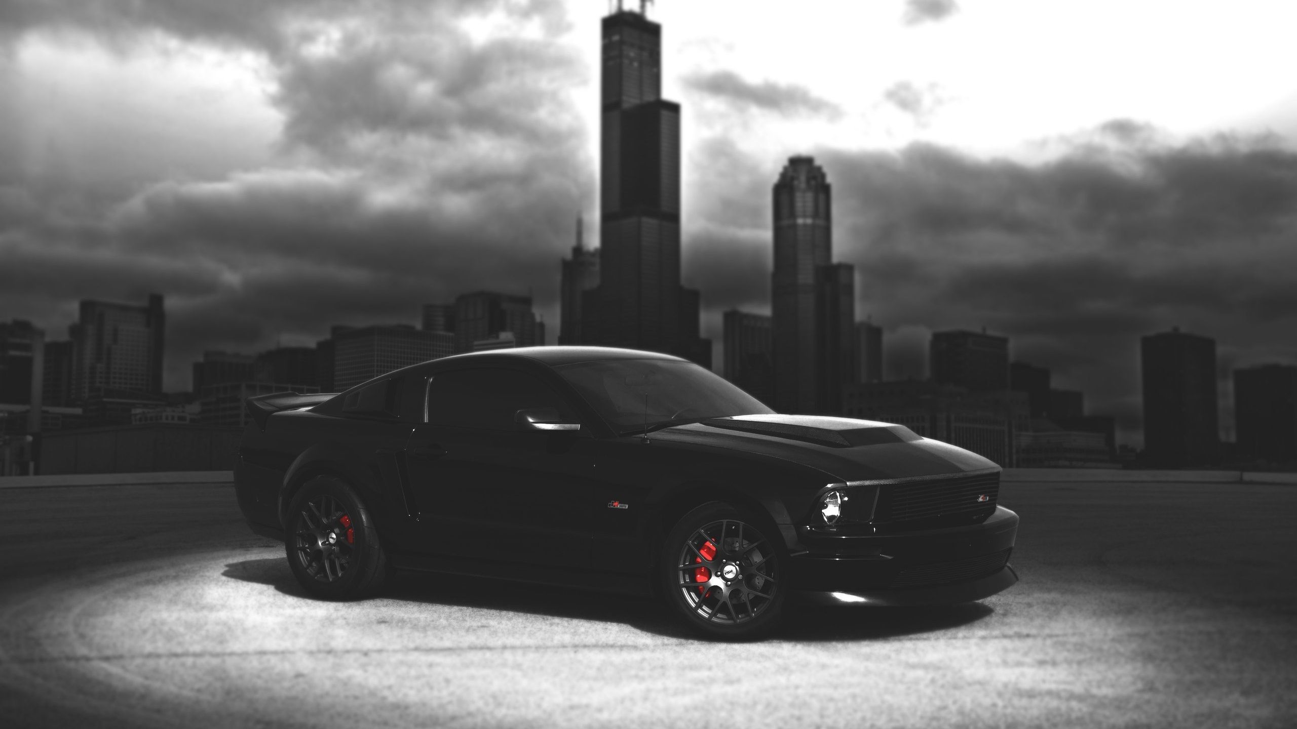 Wallpaper Ford Mustang black car, dark night, city 2560x1600 HD Picture, Image