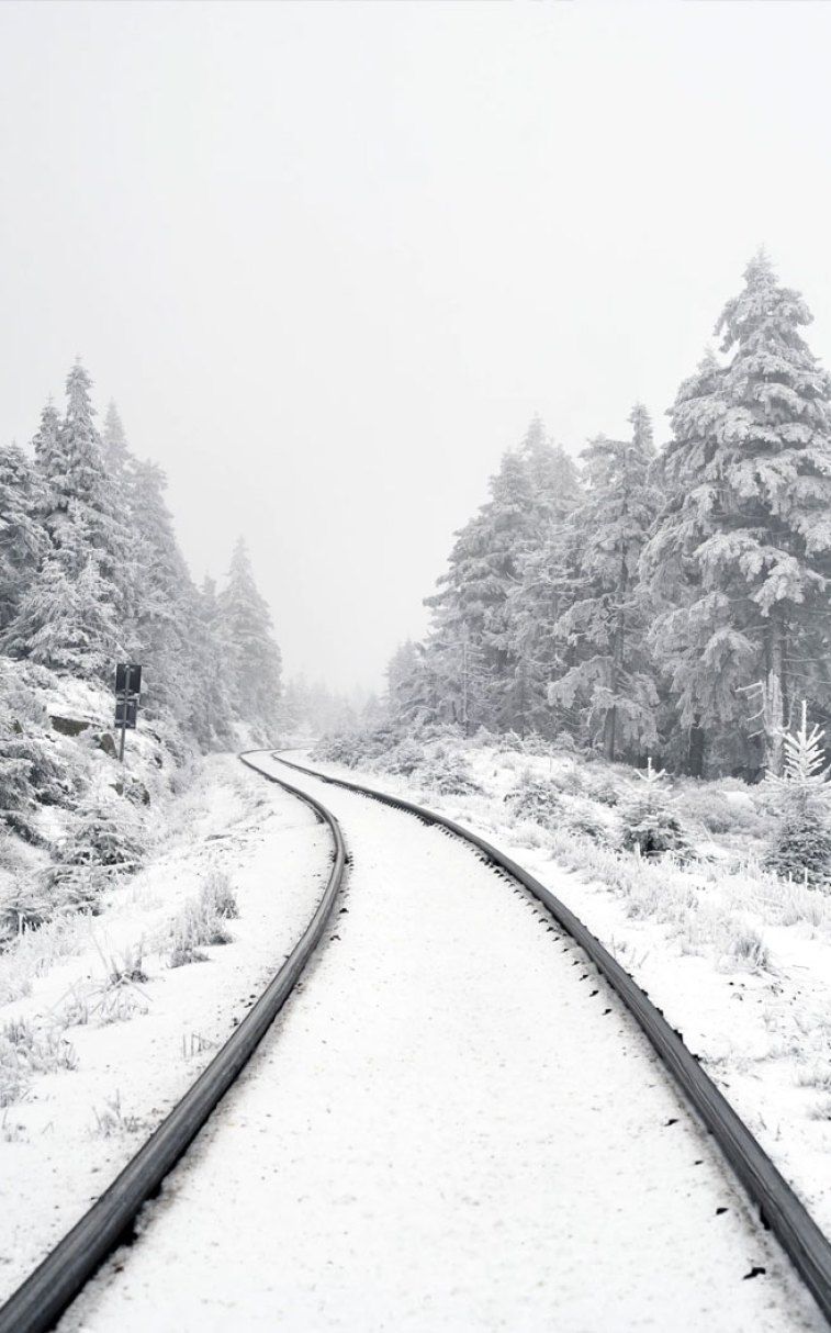 Beautiful snow covers railway Wallpaper