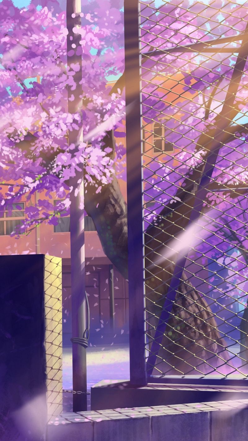 Wallpaper Anime, School, Winter Street Life School Background HD Wallpaper