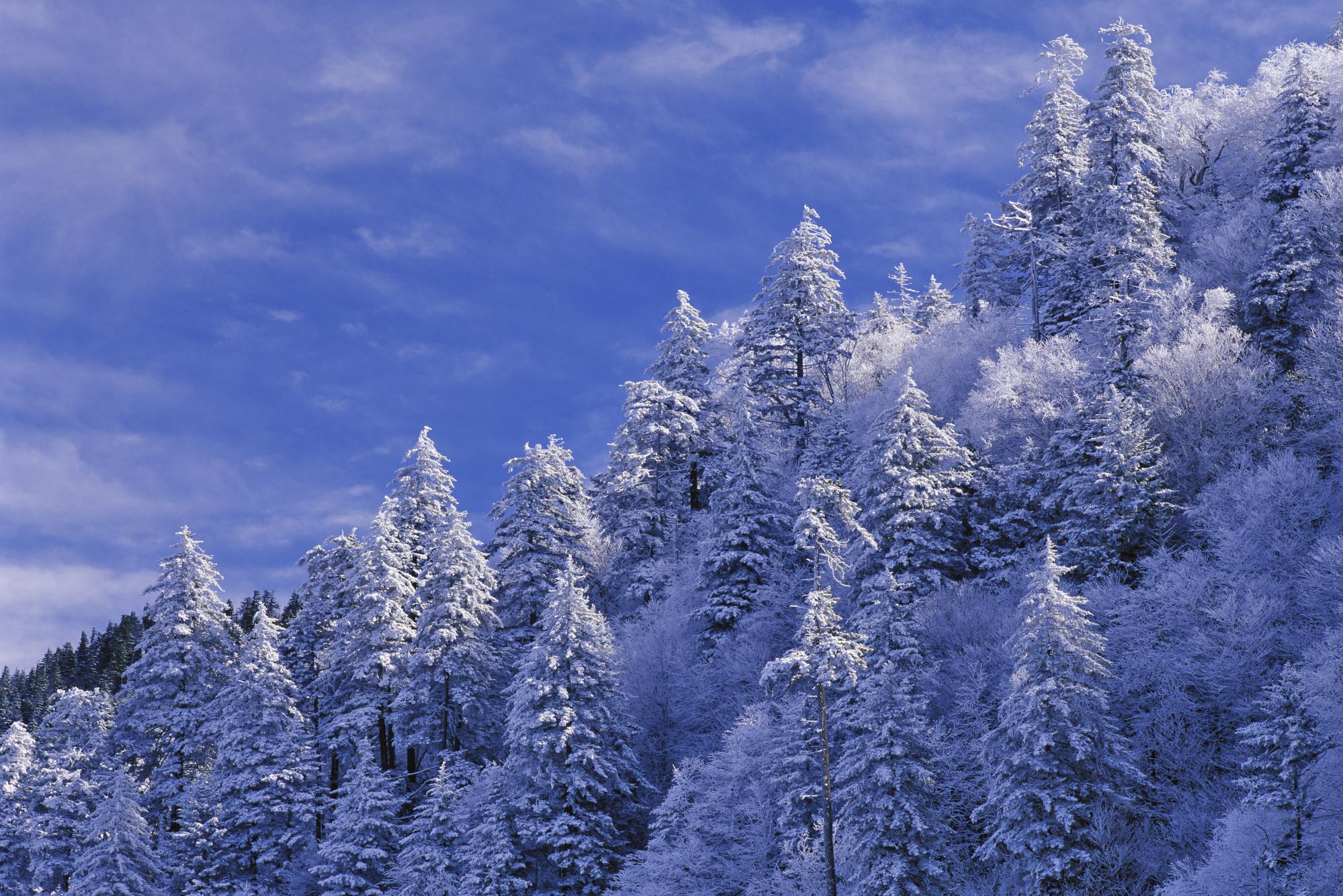When Will I See Snow in the Smoky Mountains? Mountain Travel Guide