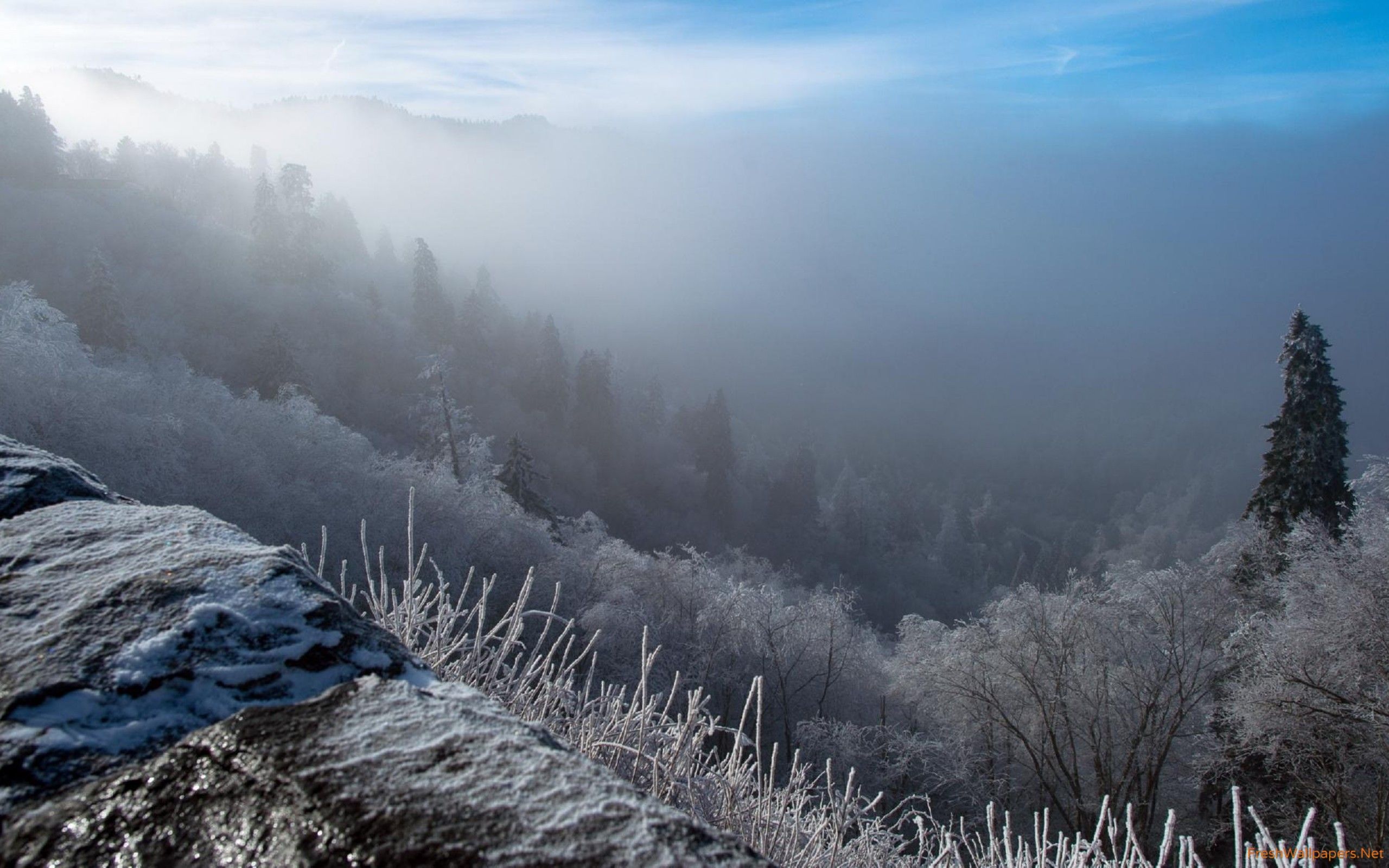 Smoky Mountains Winter