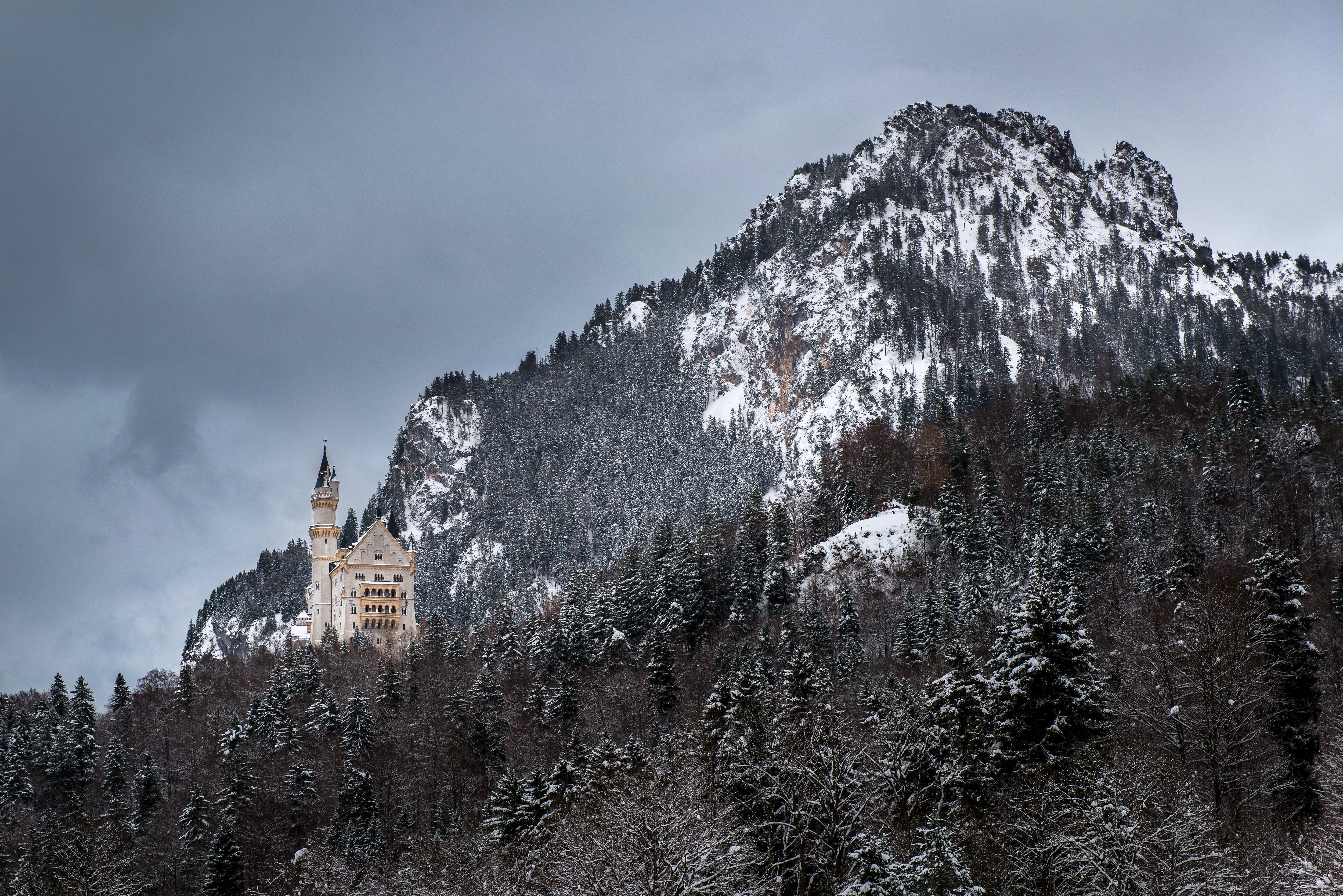 neuschwanstein, Castle, Bavaria, Germany, Castle, Mountain, Forest, Winter Wallpaper HD / Desktop and Mobile Background