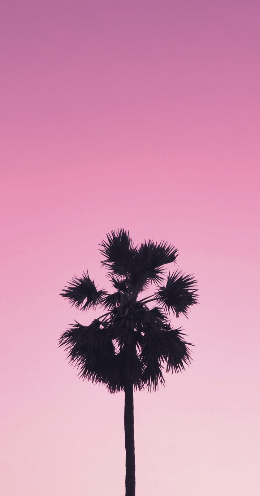 pink vibe wallpaper