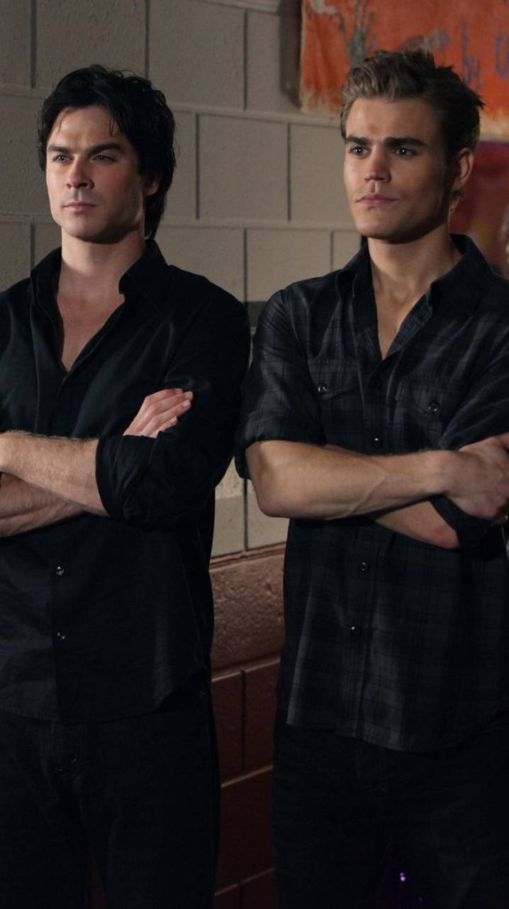 Damon And Stefan wallpaper