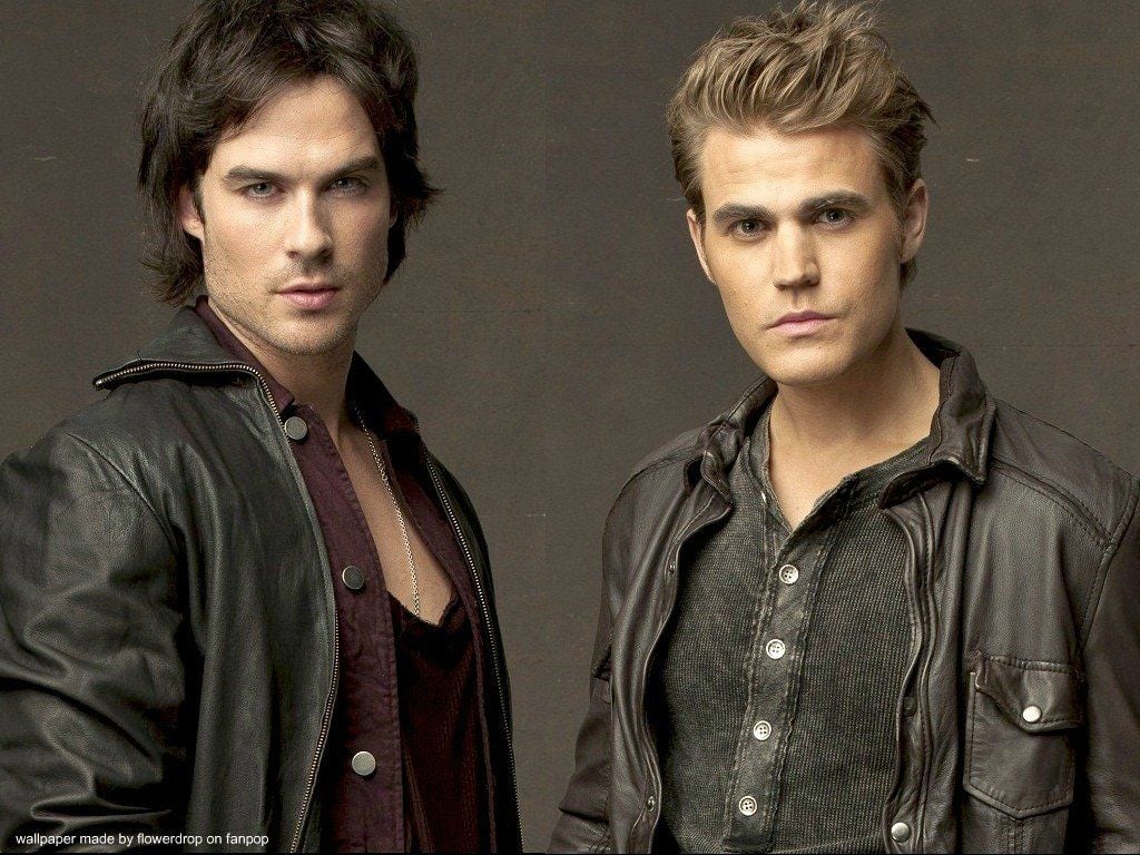 Stefan and Damon Salvatore Wallpaper