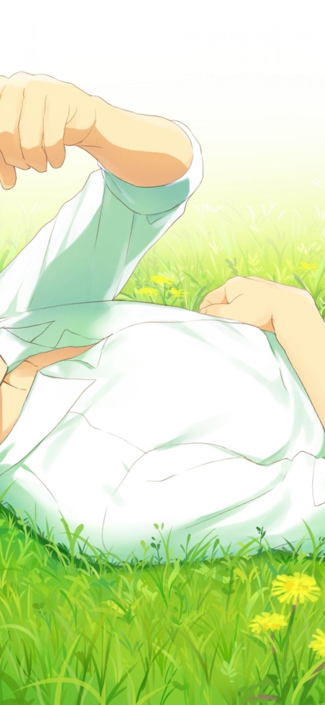 Download 1125x2436 Tachibana Makoto, Free, Lying Down, Shoujo, Grass Wallpaper for iPhone 11 Pro & X