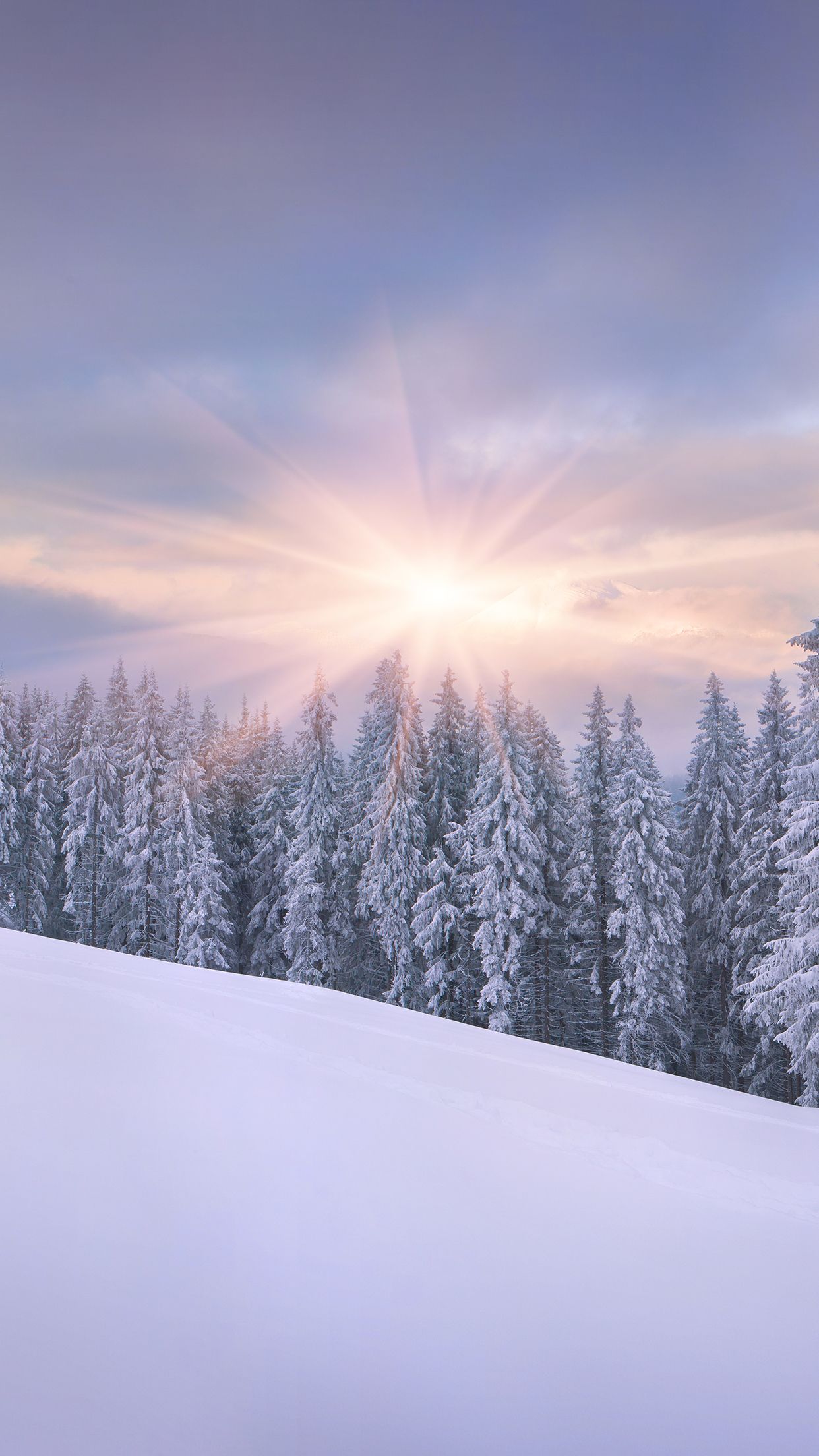Snow Sunrise Wallpaper for iPhone 11, Pro Max, X, 8, 7, 6