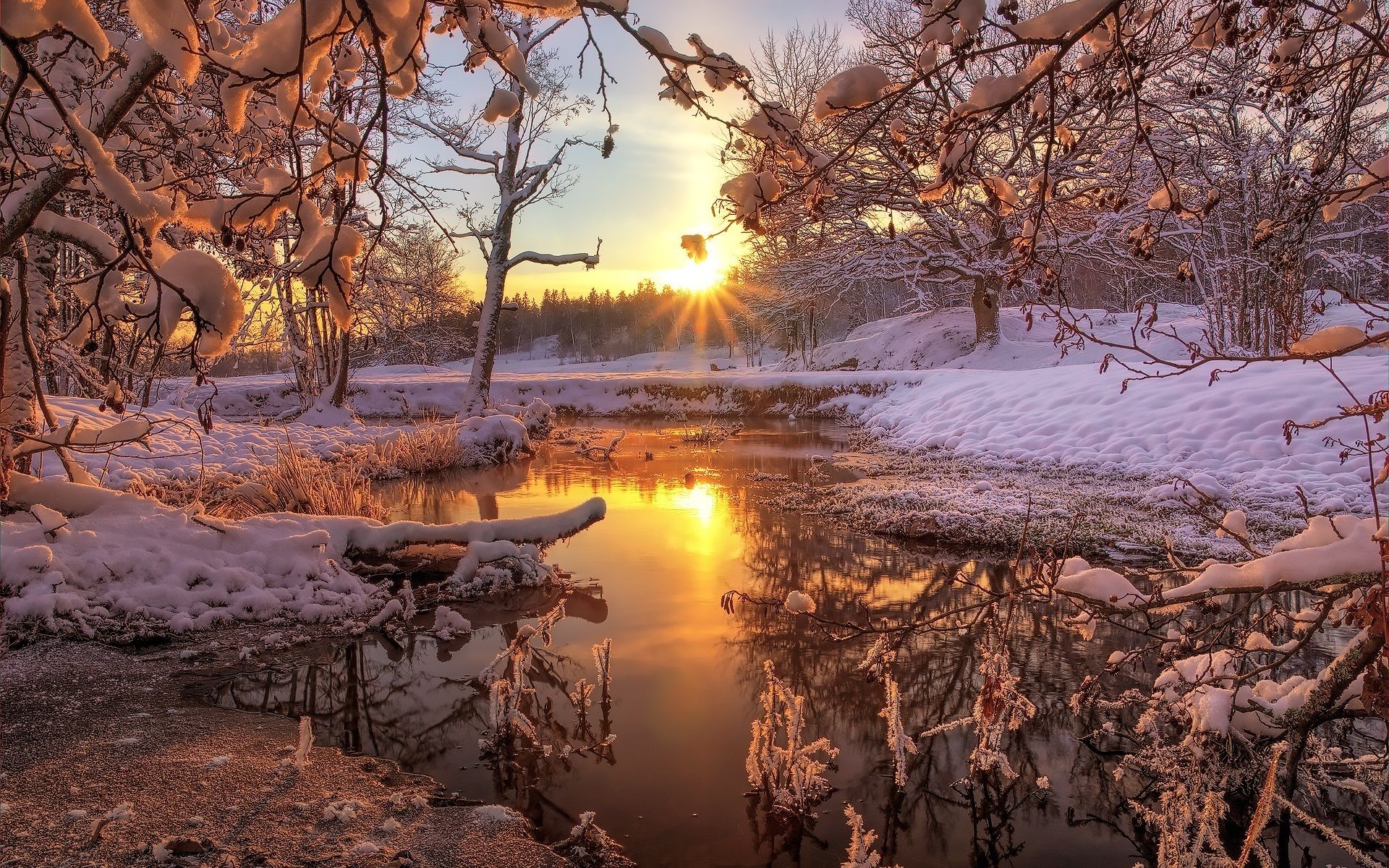 Wallpaper Winter, snow, forest, trees, river, dawn, sunrise 1920x1200 HD Picture, Image