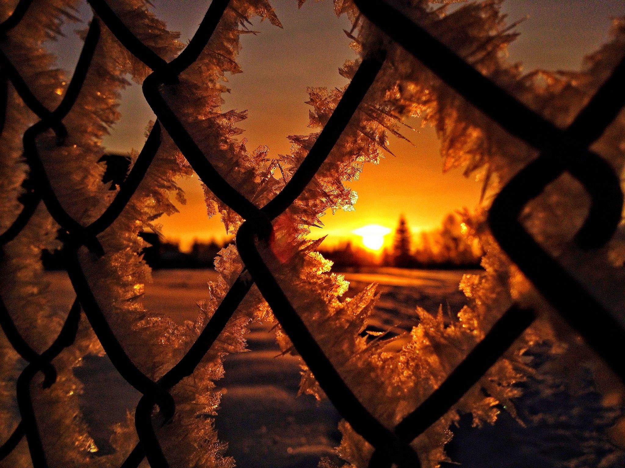 fence, Ice, Snow, Winter, Sunrise, Silhouette, Nature Wallpaper HD / Desktop and Mobile Background