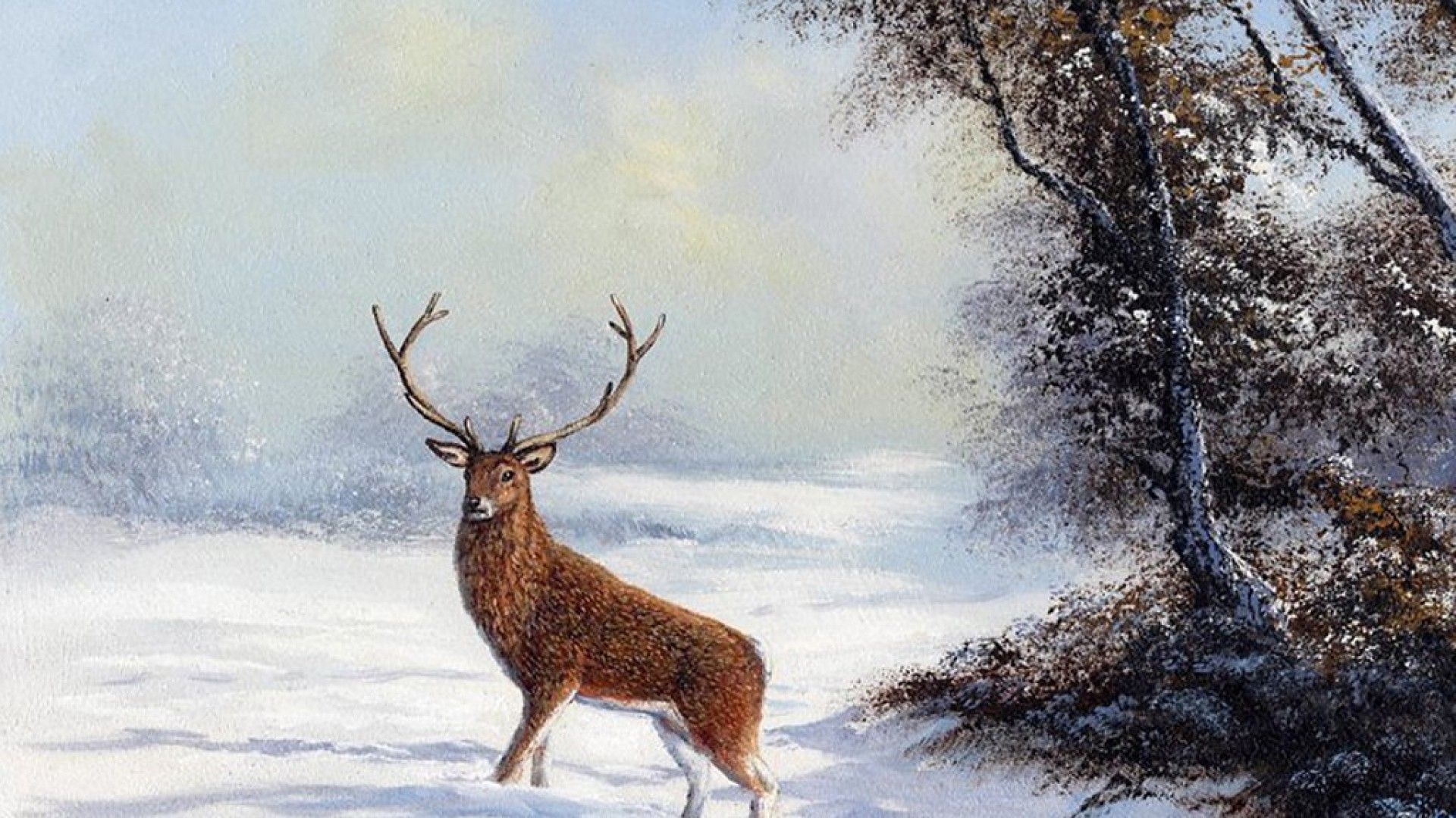Solitary Stag Trees Snow Deer Winter Desktop And Winter Wallpaper HD HD Wallpaper