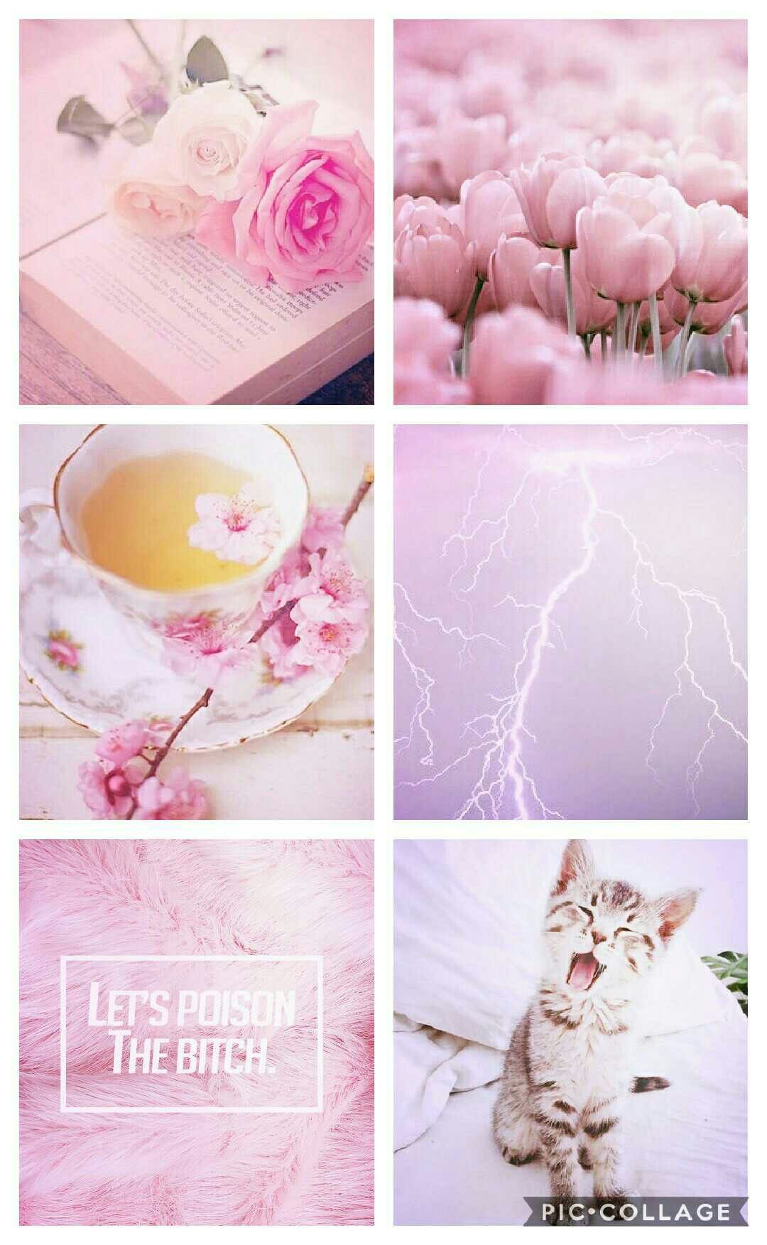 Dolores Umbridge aesthetic. Harry potter aesthetic, Harry potter professors, Dolores umbridge