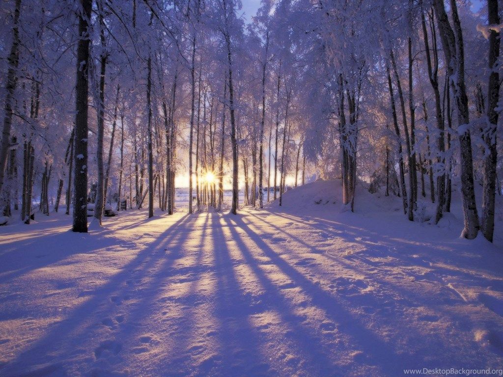 Christmas Winter Scenes Wallpaper Desktop Background