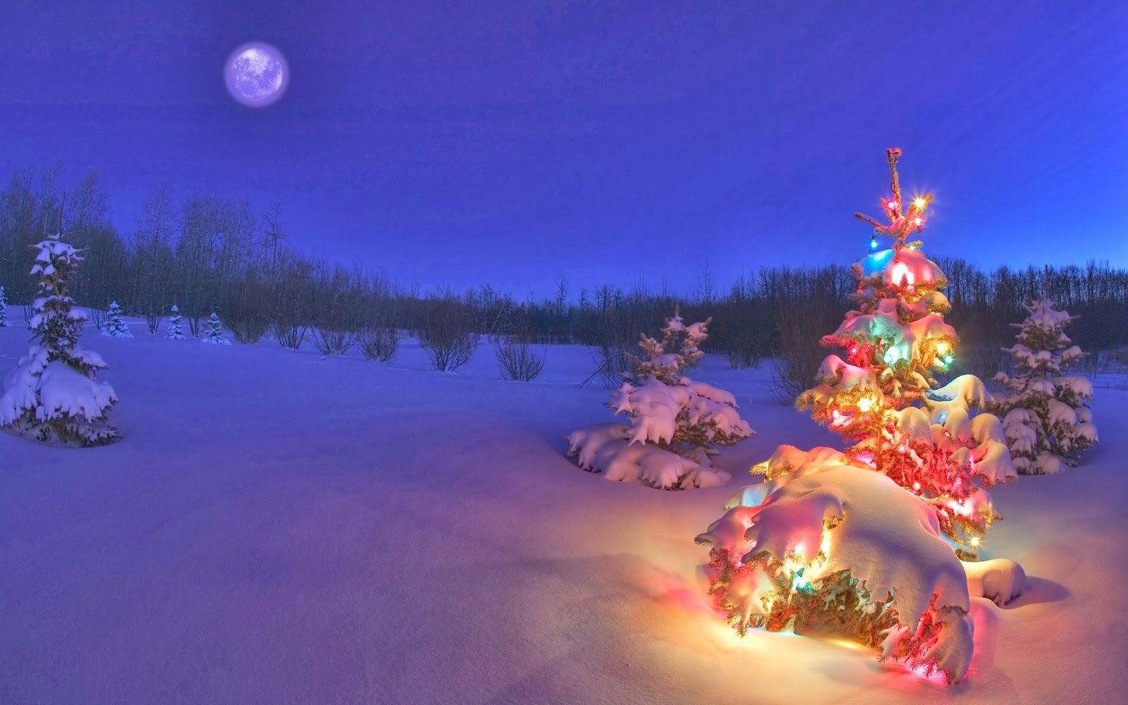 Christmas Scenes Wallpaper Background Tree In The Woods HD Wallpaper