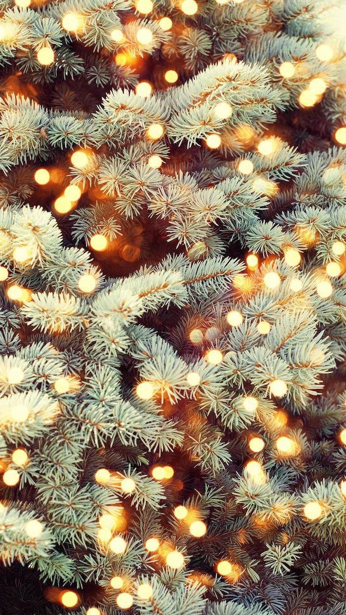 Christmas Branches Wallpapers - Wallpaper Cave