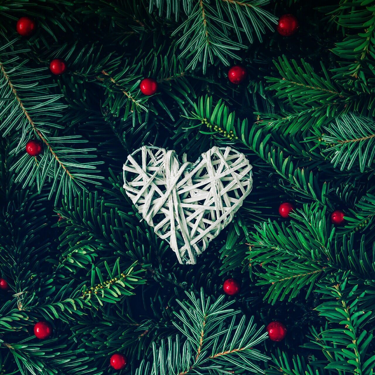 Christmas Wallpaper Tree Branches