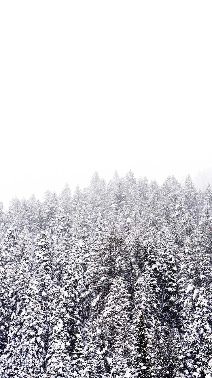 x Winter Landscapes iPhone Wallpaper Collection