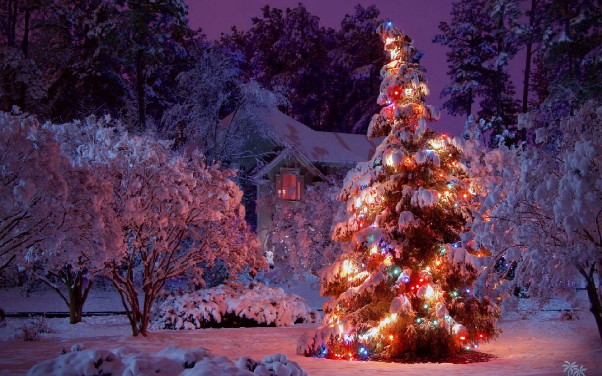 Scenes Wallpaper Inspirational Christmas Winter Scenes WallpaperWallpapertag This Month of The Hudson