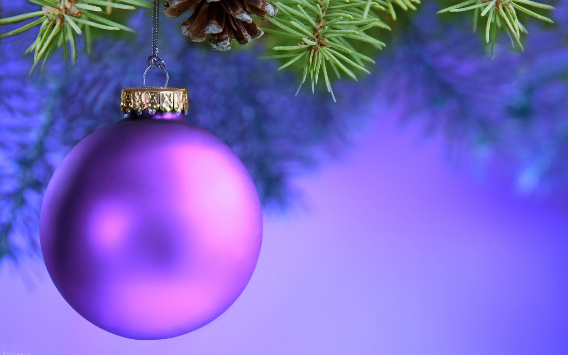 Download wallpaper Purple xmas ball, Happy New Year, Merry Christmas, winter, Christmas Concepts, xmas balls, Christmas decorations for desktop with resolution 1920x1200. High Quality HD picture wallpaper