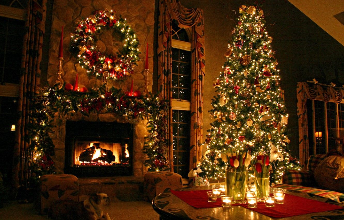Wallpaper tree, new year, Christmas, christmas, tree image for desktop, section новый год