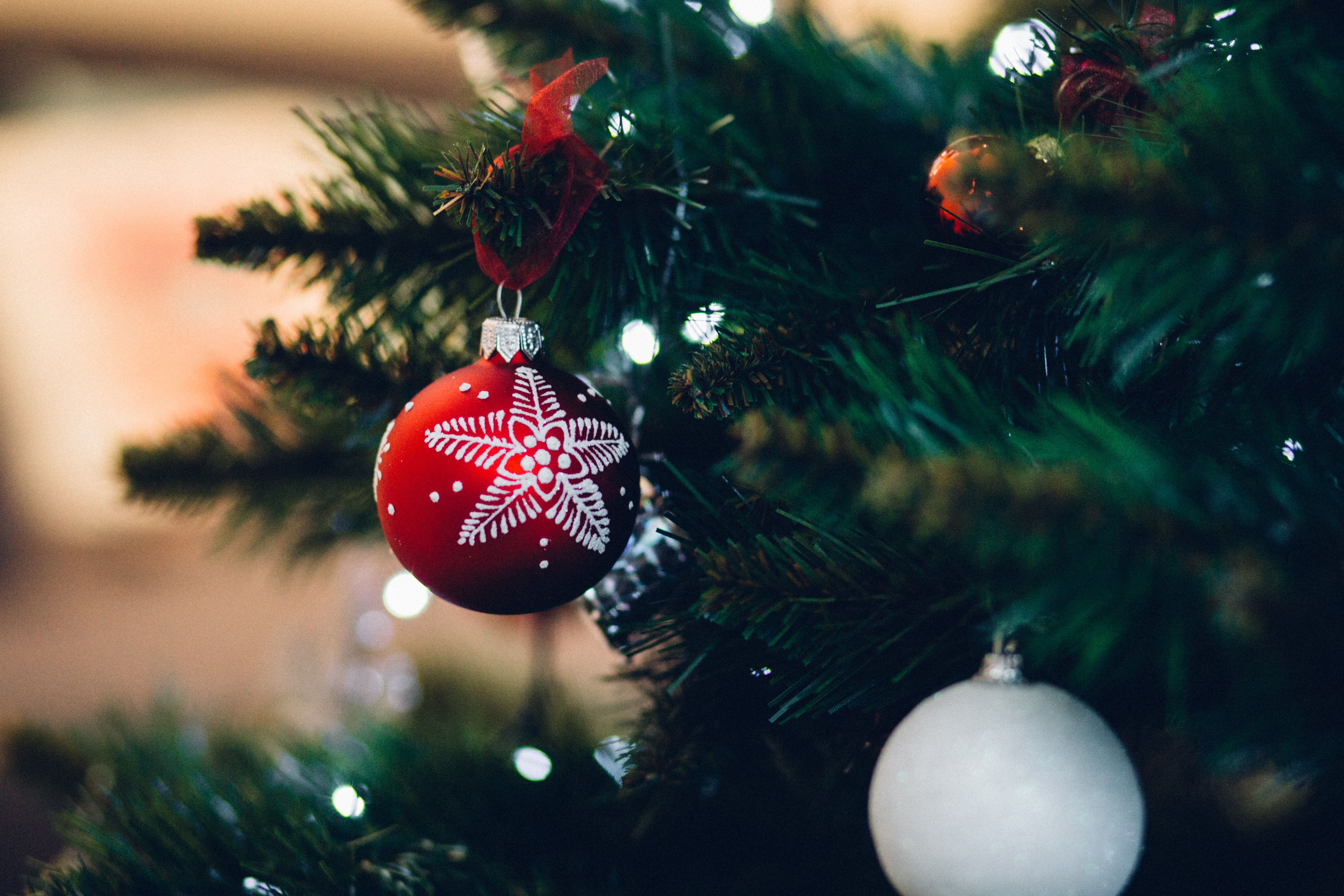 Close Up Of Christmas Tree · Free