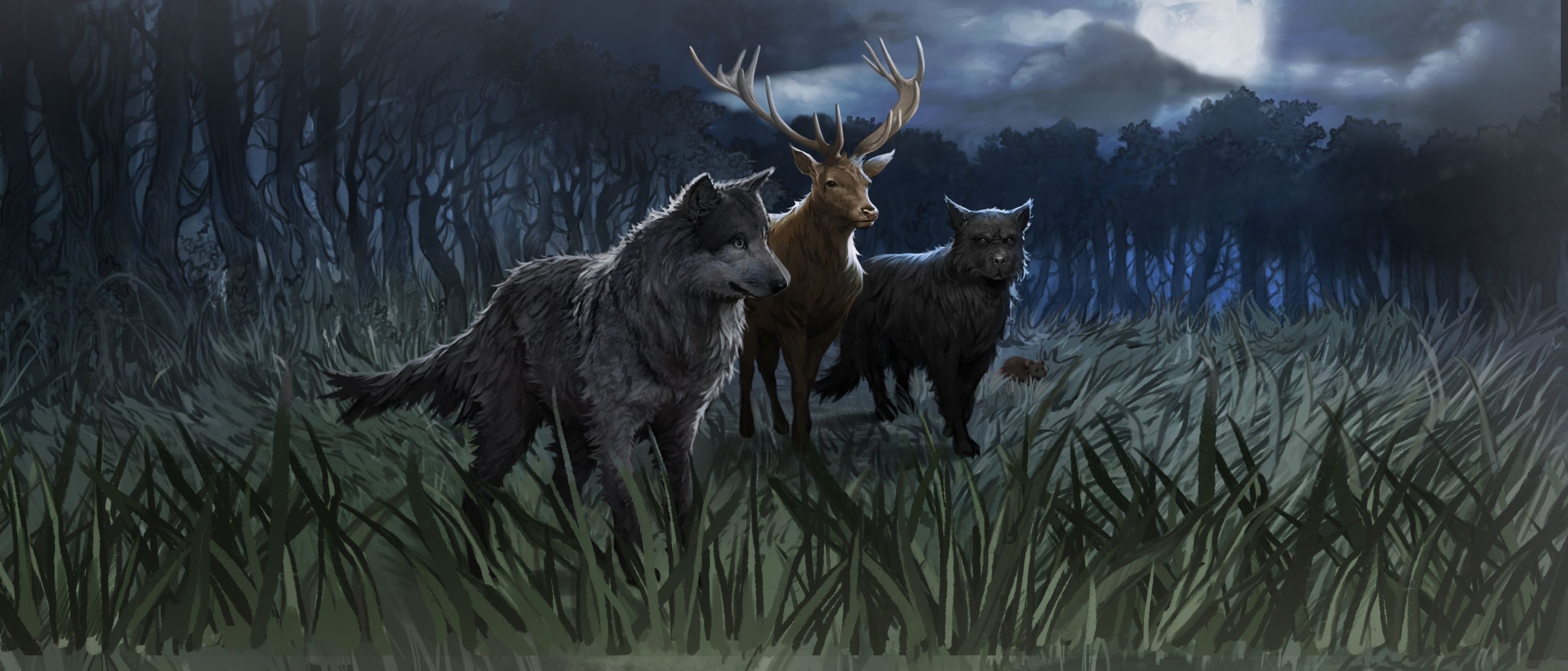 Padfoot At The Place Where It's Hidden Padfoot Wallpapers - Wallpaper Cave