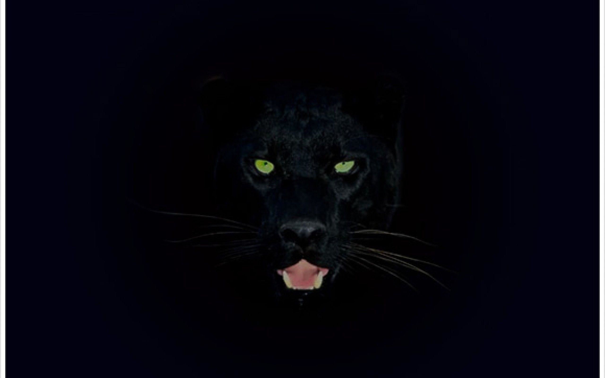 Black Panther Background