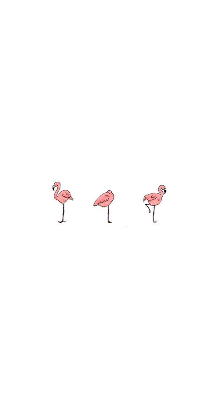 cute simple flamingo wallpaper. Flamingo wallpaper, Simple wallpaper, iPhone wallpaper