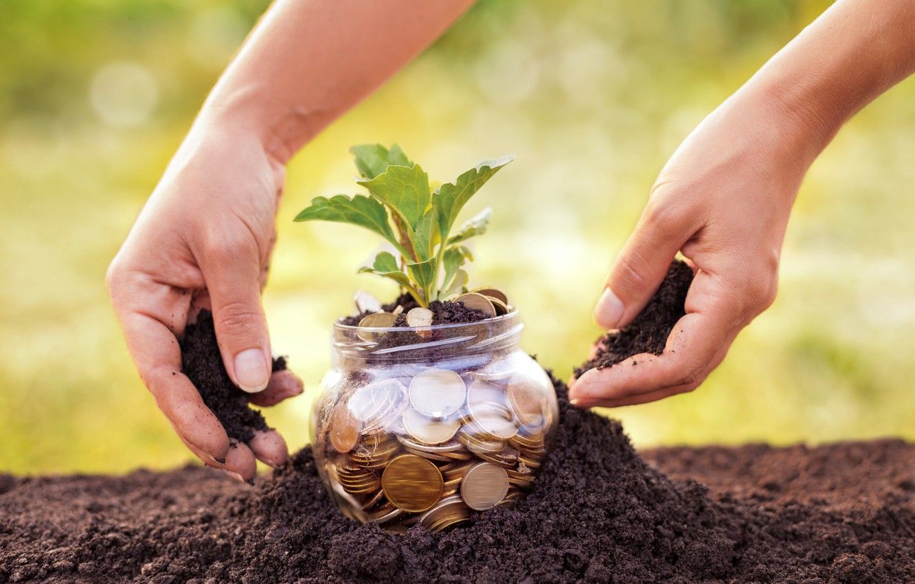 Wallpaper future, land, money, plant, savings image for desktop, section разное