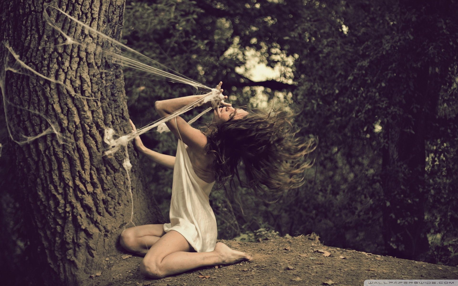 Related Wallpaper To Escape Wallpaper & Background Download