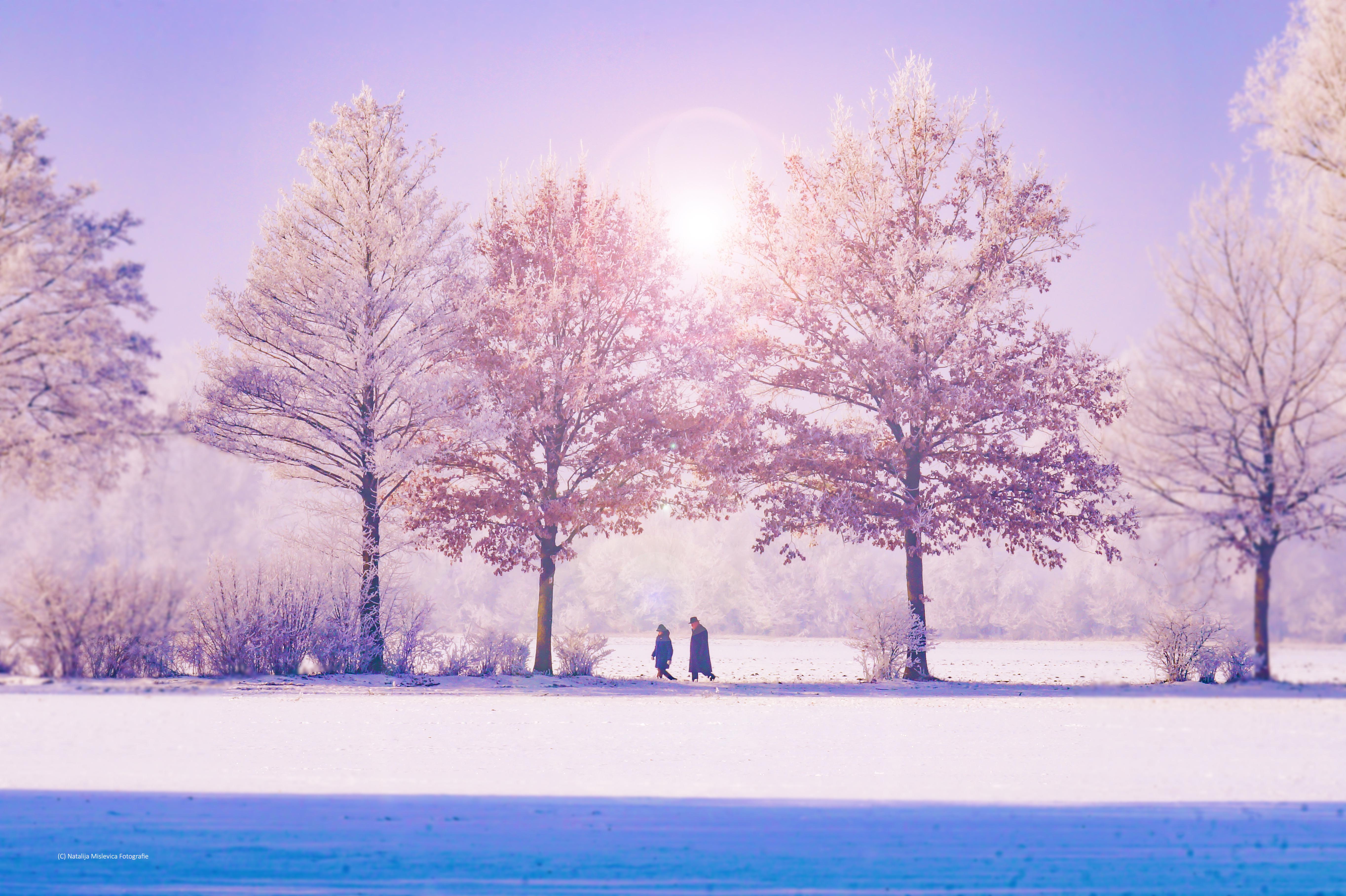 Winter Wallpaper: 30 Awesome Image For The Cold Season